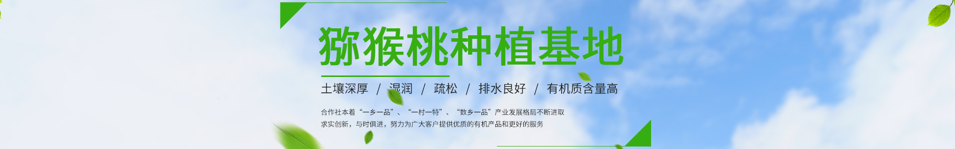 爱游戏首页 - 爱游戏「AIYOUXI」官方网站