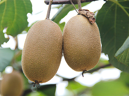 爱游戏官方首页基地展示一