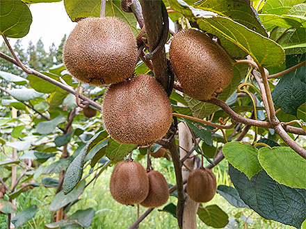 爱游戏官方首页基地展示六